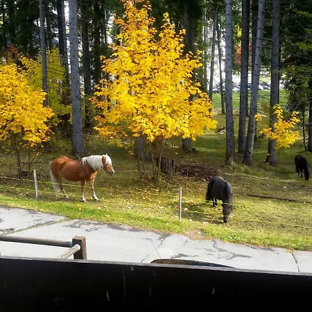 Rustica By Interhome شقة لينتسرهايدي