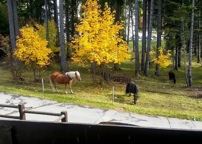 Rustica By Interhome Apartment Lenzerheide